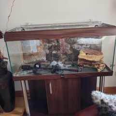 Aquarium  Fish Tank Setup 350 Euro
