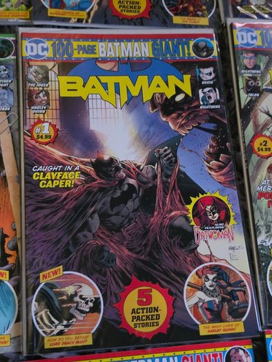 DC 100-Page Giant Bundle | 23 Issues | Batman Flash Aquaman Swamp Thing Superman