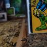 Judge Dredd ! Issue #31 ! by Alan Grant ! Copper Age Comic from 1986 ! by Eagle ! Image 5