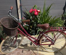 Pendleton Heritage Ladies City Bike (As New)