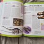 Did You Know.....Dinosaurs From T-Rex to Brachiosaurus Book Age 8+ Image 3
