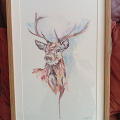 Picture of a Stag Deer