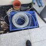 cat6 utp cable Image 2