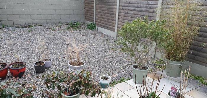 Composite decking supplied and fitted
