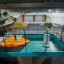 hamster cage Image 2