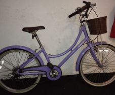 girls 24inch bike