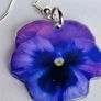 Purple Angel Floral Pansy Image 4