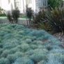 plants Image 4