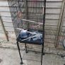 bird cage REDUCED Image 3