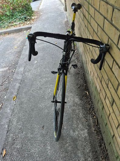 carrera road bike