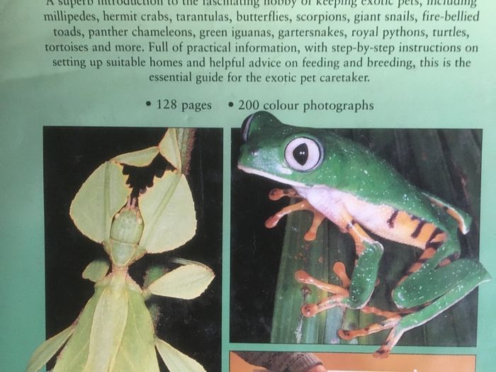 Exoctic Pets book