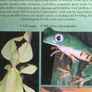 Exoctic Pets book Image 2
