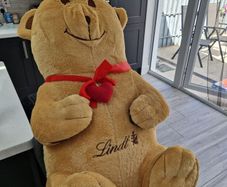 Lonely Bear Seeking Love