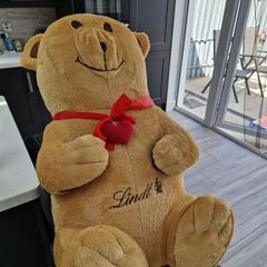 Lonely Bear Seeking Love