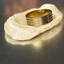 Ring Image 2