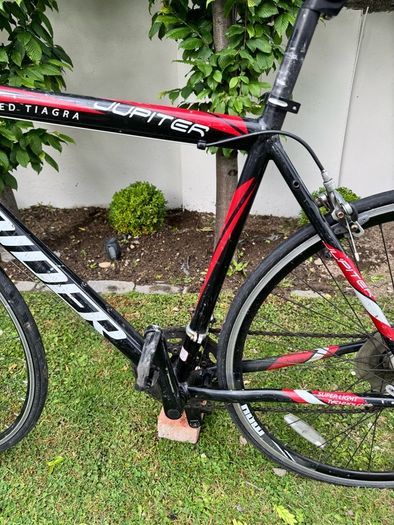 Spider Road Bike