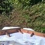 Art Nouveau Wooden Coat Rack Image 4