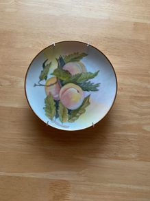 Plate with wall hanger (8 inches)