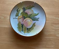 Plate with wall hanger (8 inches)