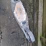 Scooter Image 3