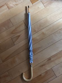 Vanderbilt Designer Umbrella