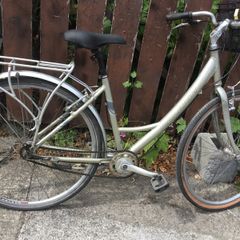 Raleigh ladies bike