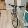 Giant defy Image 5