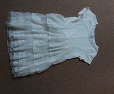 Brand New Teenage Girls Zara Lace Top