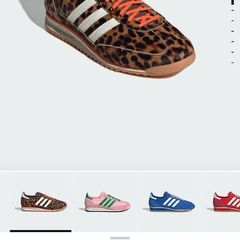 trainers