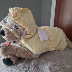 Dog raincoat