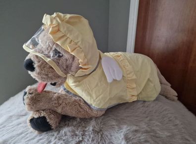 Dog raincoat
