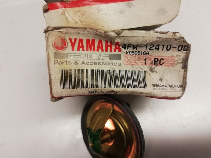 Yamaha FJ1300 Thermostat