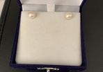 Sterling Silver Earring