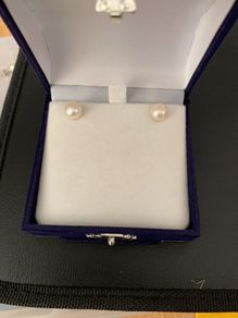 Sterling Silver Earring