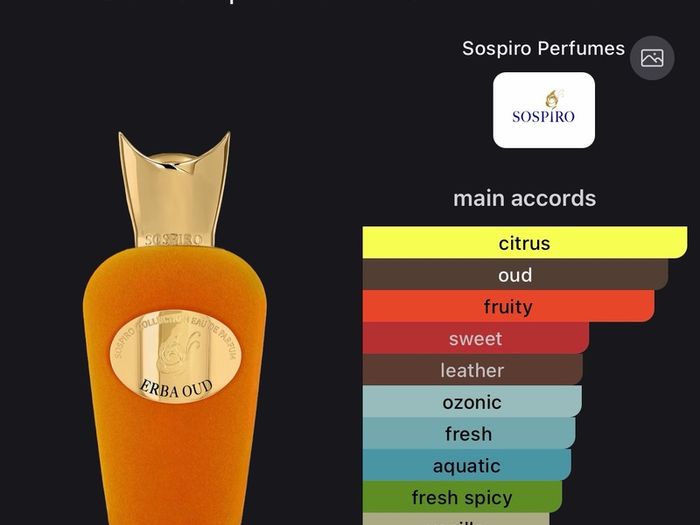 Sospiro Erba Oud 100ml