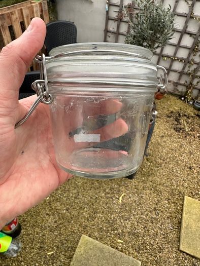 kilner Jars x 12