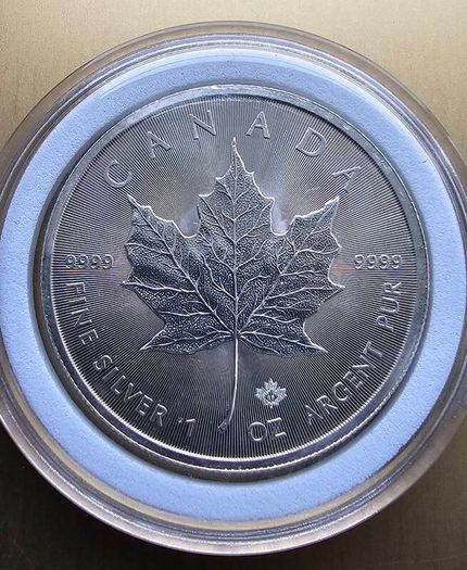 Silver 1 oz coins