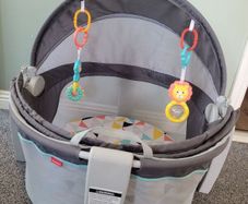 Fisher-Price Portable Bassinet On-The-Go Baby sunshade Dome