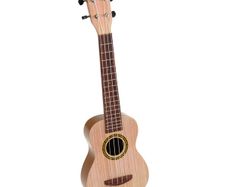 ukulele kids