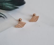 Brand new earrings