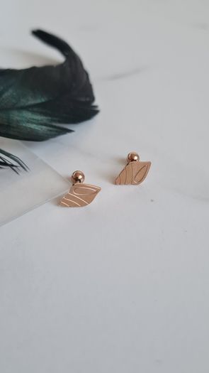 Brand new earrings