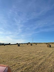 bales of hay