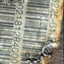 Bmw E90 Diff Image 4