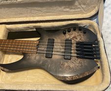Selling Brand new Cort spaces 5 with flat wounds