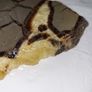 Slice of turtle back agate Image 3