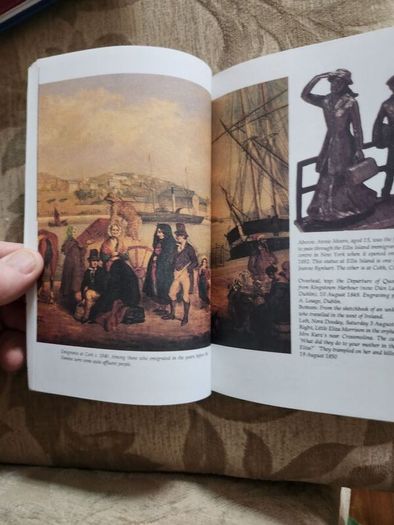 The Irish Famine. An Illustrated History By Helen Litton. First Edition Paperback In Good Condition.