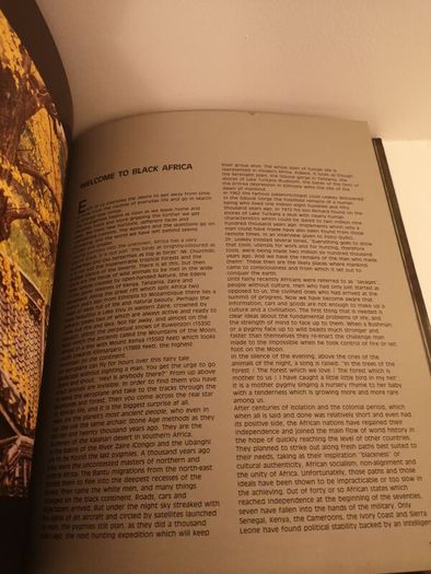 SALE! The Lure Of Faraway Places  Angelo Costalonga