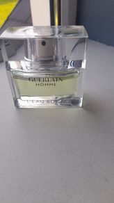 Guerlain Homme L'eau Boisee(Discontinued)