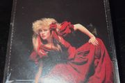 STEVIE NICKS - The Other Side Of The Mirror