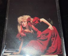 STEVIE NICKS - The Other Side Of The Mirror